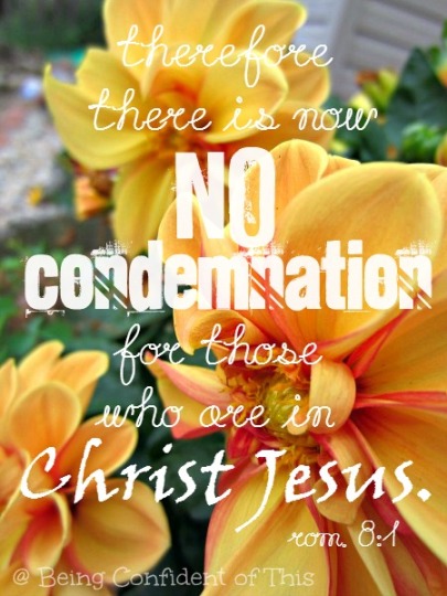 no condemnation, confidence in Christ, identity in Christ, position in Christ